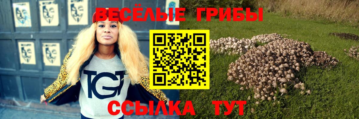 Галлюциногенные грибы MAGIC MUSHROOMS  Вход с VPN  Галлюциногенные грибы мицелий  Котельники 